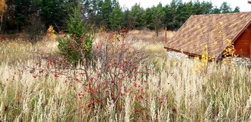 Parki i ogrody ziemi wieluńskiej - Załęczański Park Krajobrazowy - jeden z najpiękniejszych parków w Polsce, bo otulający zakole Warty